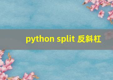 python split 反斜杠